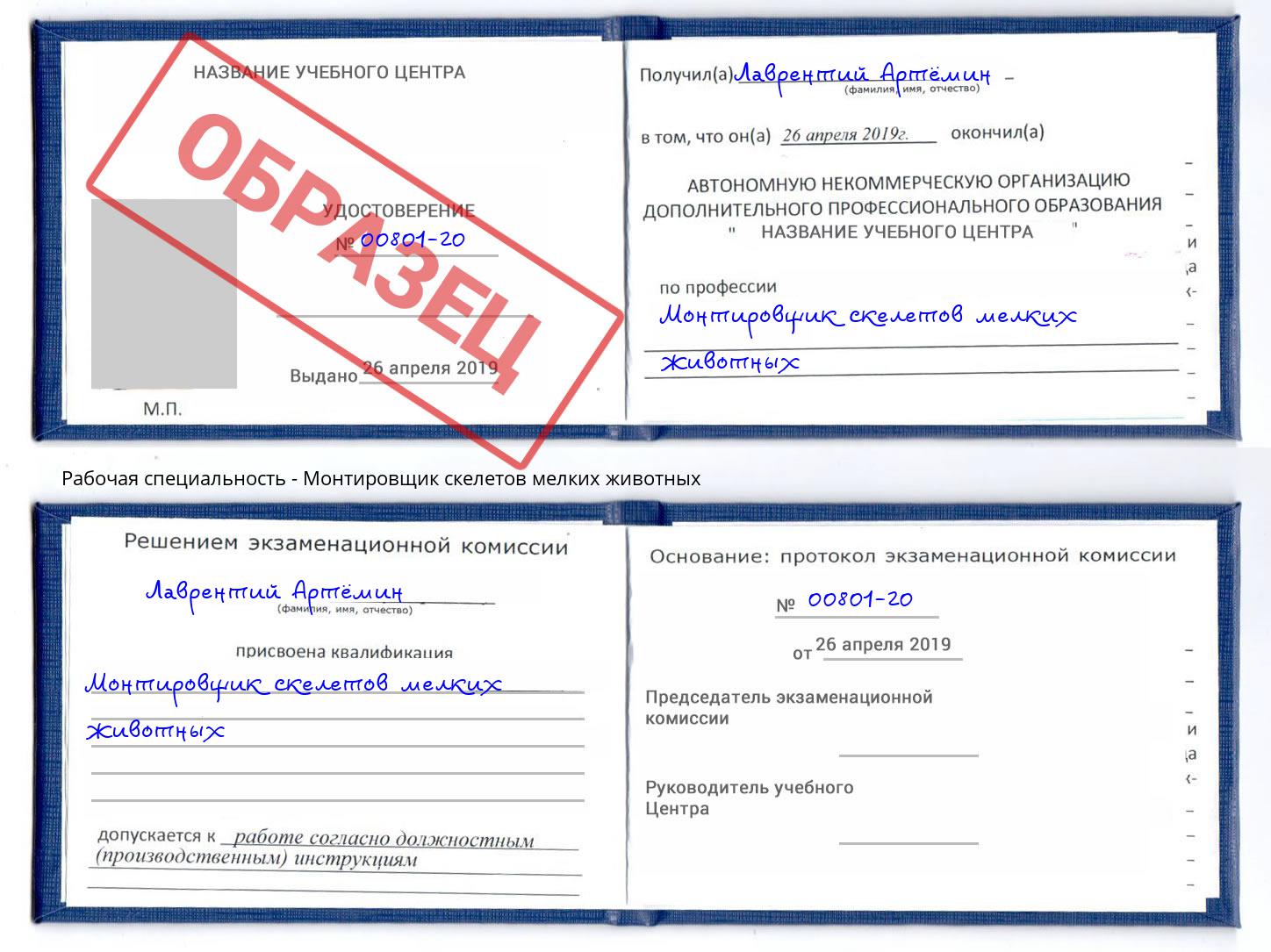 Монтировщик скелетов мелких животных Касимов