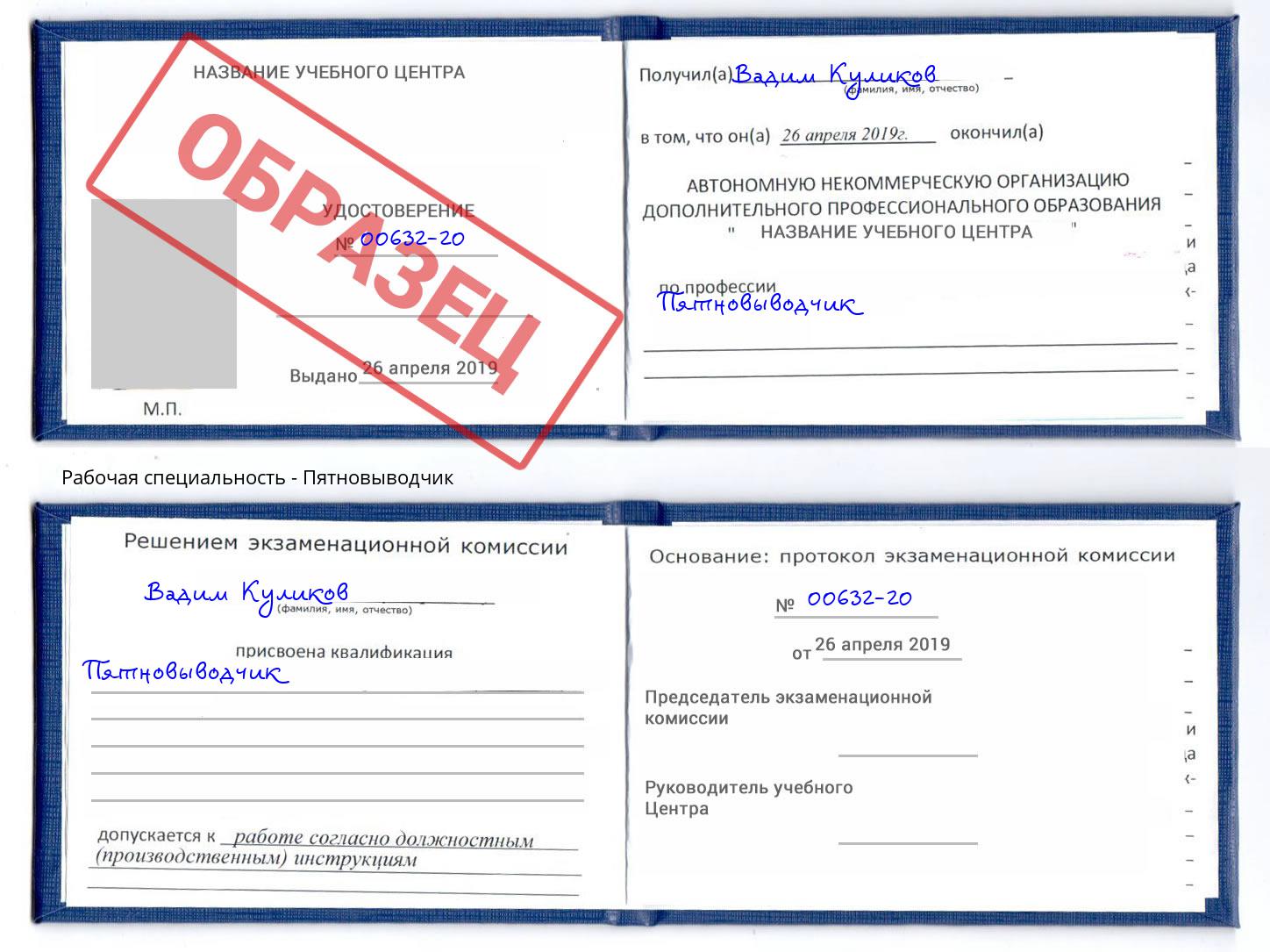 Пятновыводчик Касимов