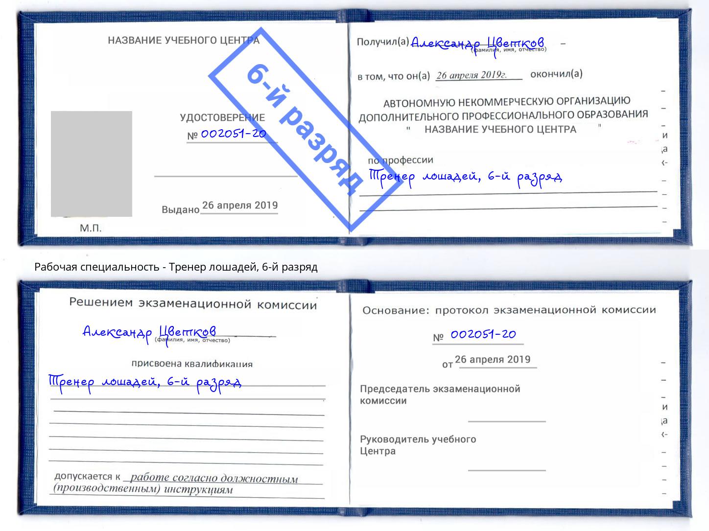 корочка 6-й разряд Тренер лошадей Касимов