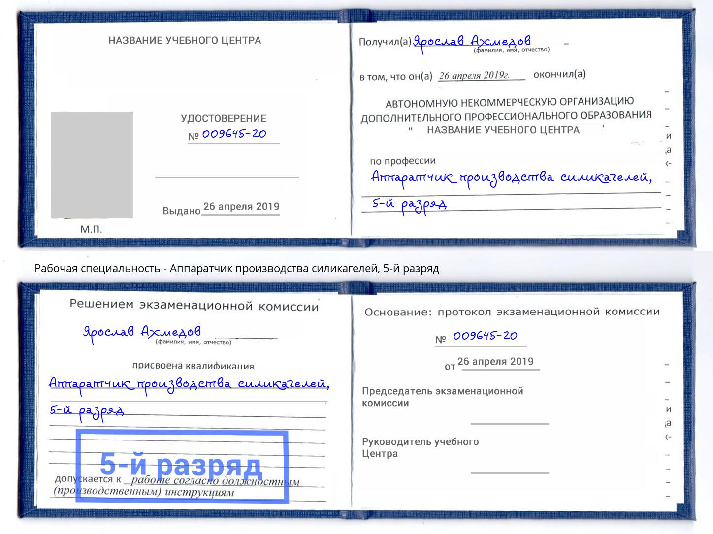 корочка 5-й разряд Аппаратчик производства силикагелей Касимов