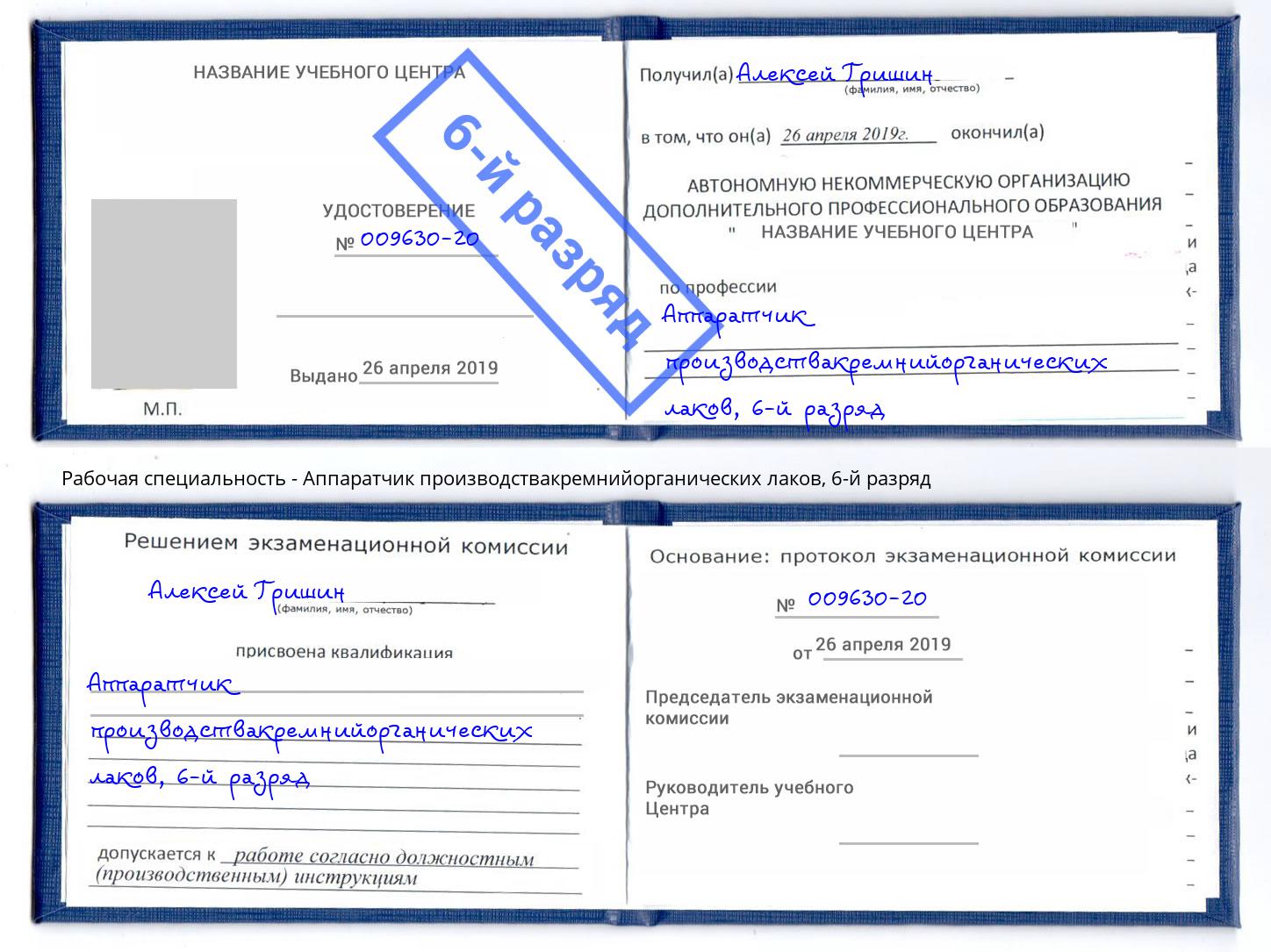 корочка 6-й разряд Аппаратчик производствакремнийорганических лаков Касимов