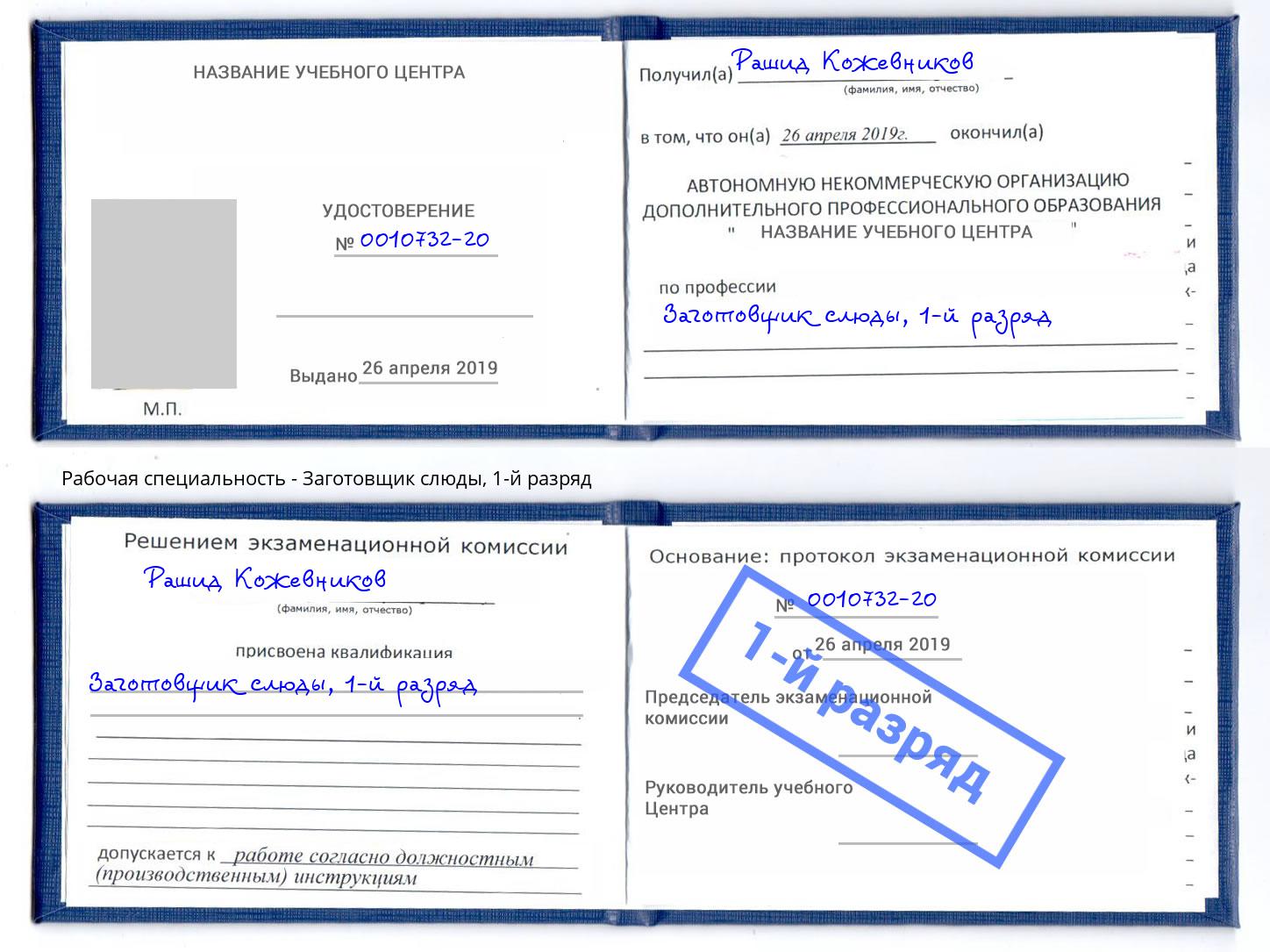 корочка 1-й разряд Заготовщик слюды Касимов